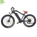 Paladin 48V 350W Lithium Battery Fat Tire Electric Snow Bicycle